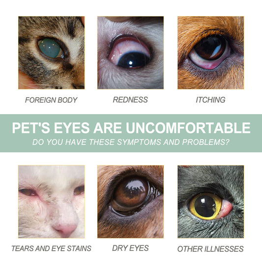 Dogs And Cats Eye Care Eye Drops
