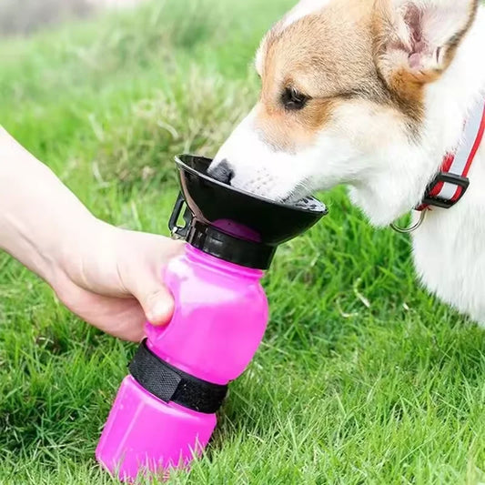 500ml Portable Dog Water Bottle – Leakproof Travel Water Bottle for Dogs